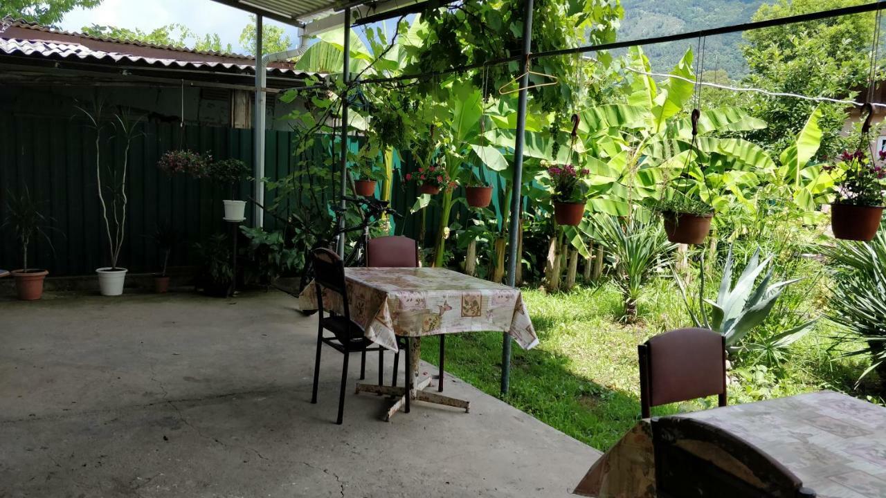 غاغرا Tikhaya Gavan Guest House المظهر الخارجي الصورة